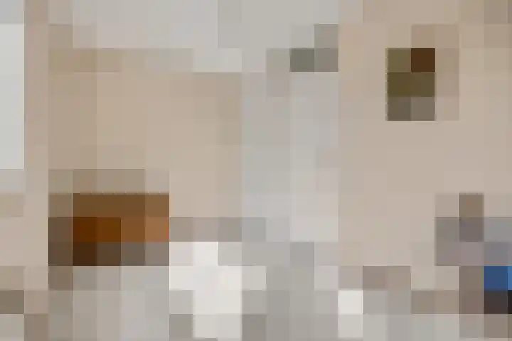 Spinderweg 6 Ede thumbnail 16
