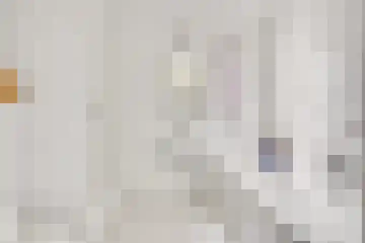 Spinderweg 6 Ede thumbnail 17