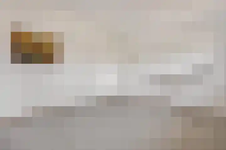Spinderweg 6 Ede thumbnail 24