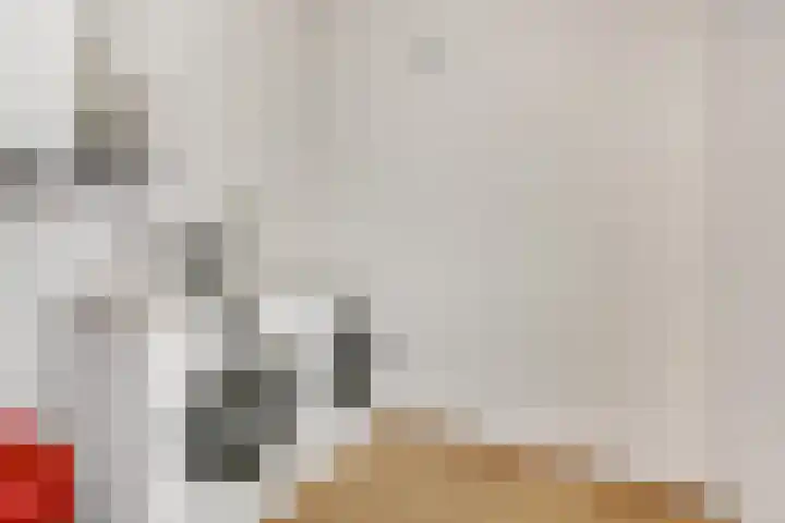 Spinderweg 6 Ede thumbnail 25