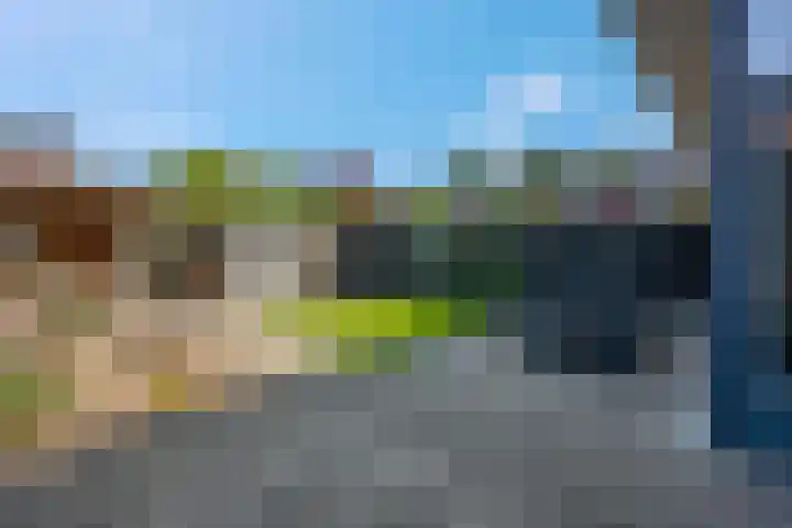 Spinderweg 6 Ede thumbnail 30