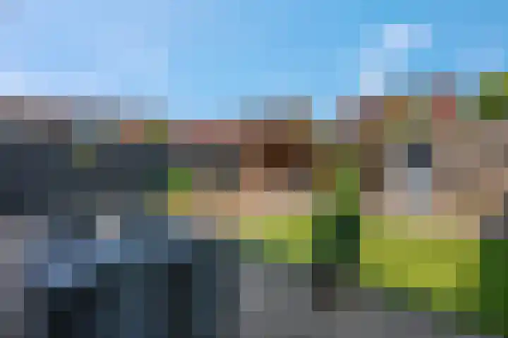 Spinderweg 6 Ede thumbnail 31