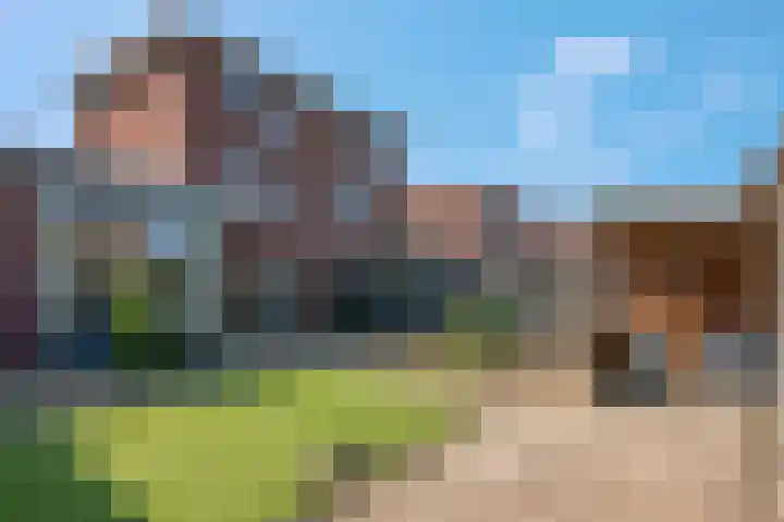 Spinderweg 6 Ede thumbnail 32