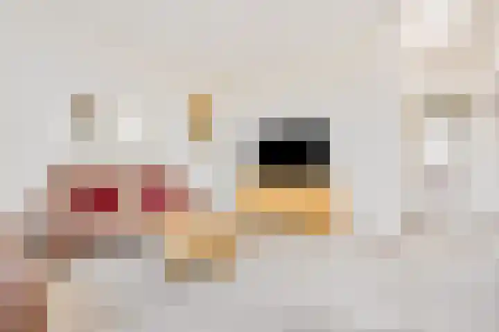 Spinderweg 6 Ede thumbnail 5