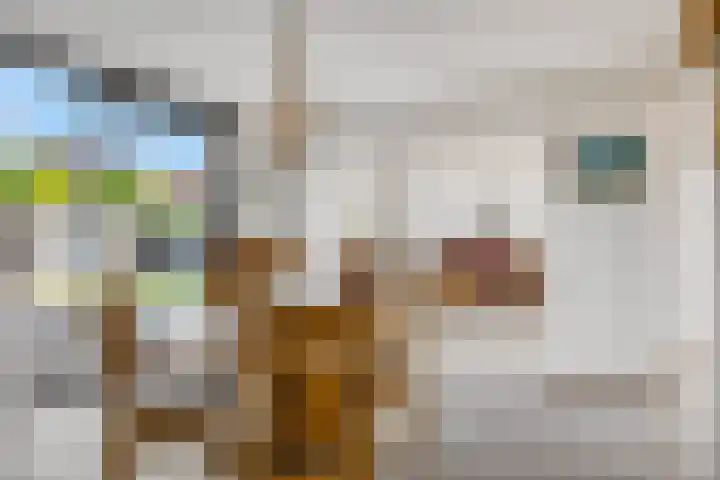 Spinderweg 6 Ede thumbnail 7