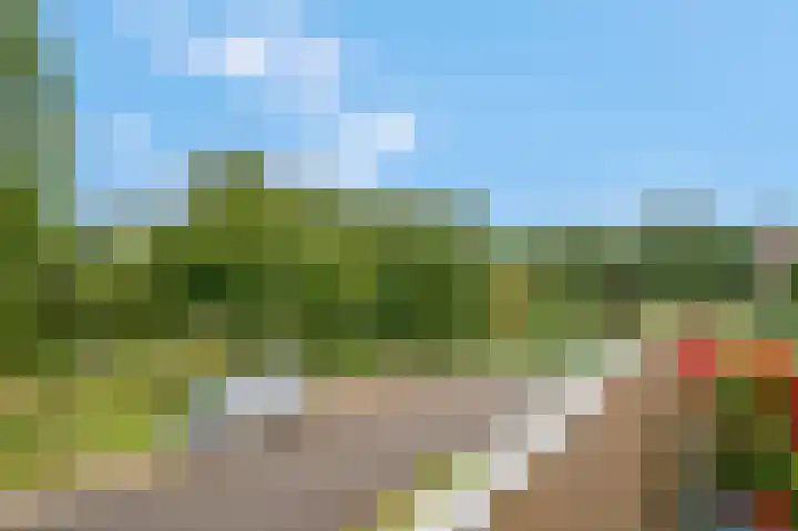 Spinderweg 93 Ede thumbnail 17
