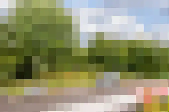 Spinderweg 95 Ede thumbnail 12