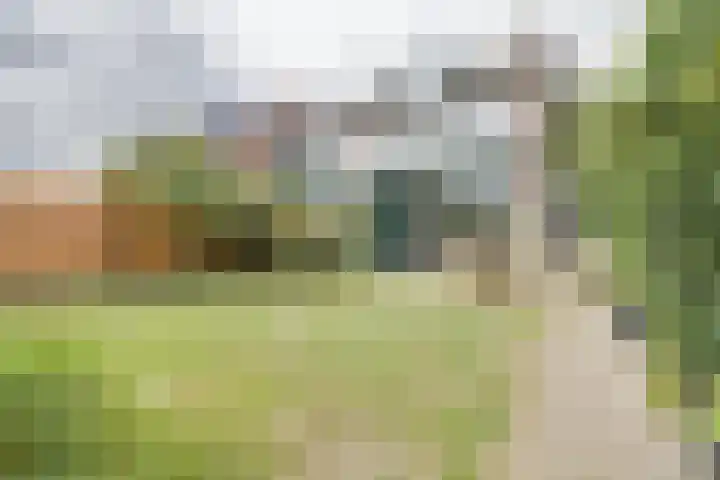 Team photo of Spindler Makelaars lid NVM