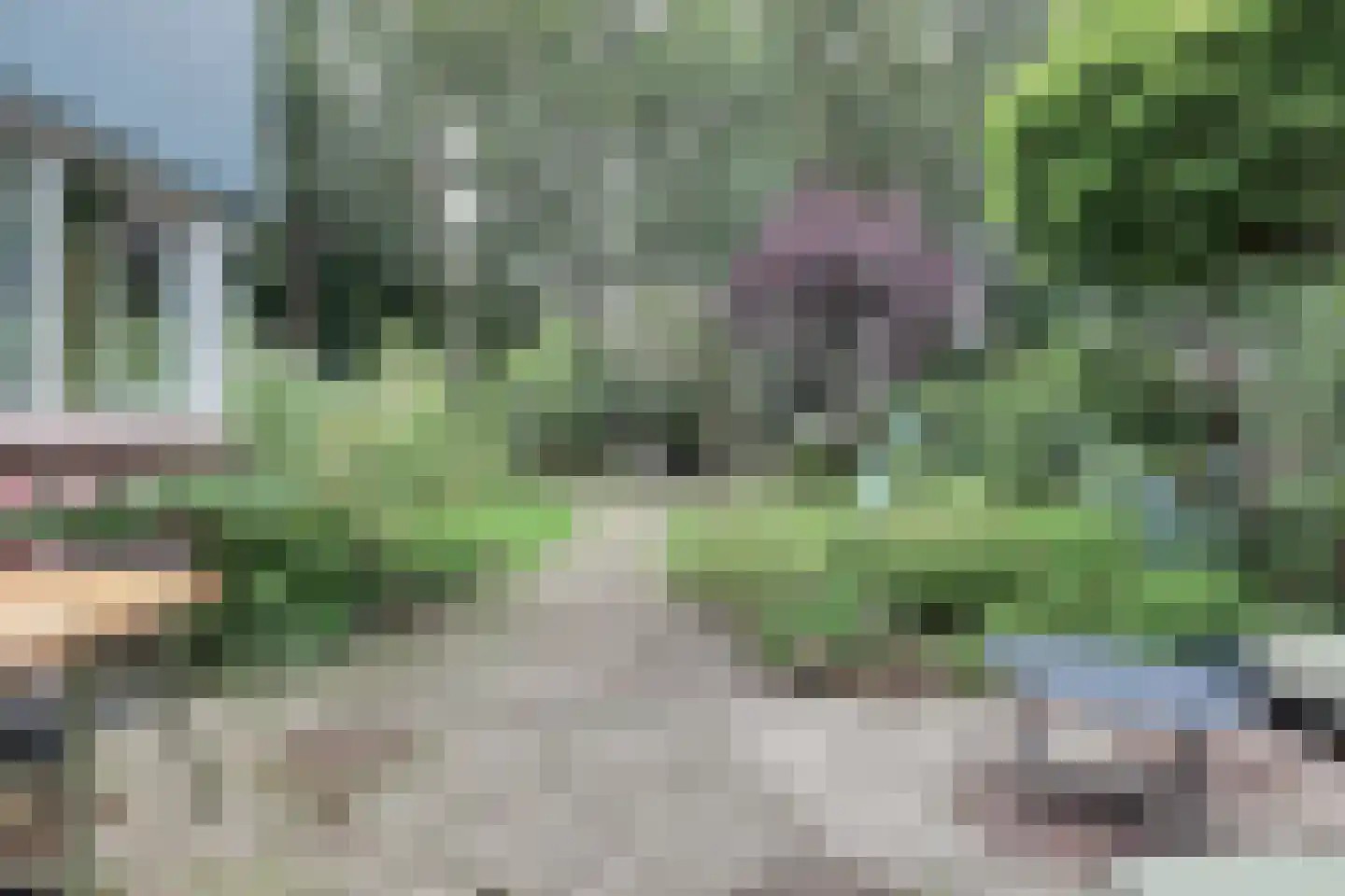 Spinel 15 's-Gravenzande thumbnail 36