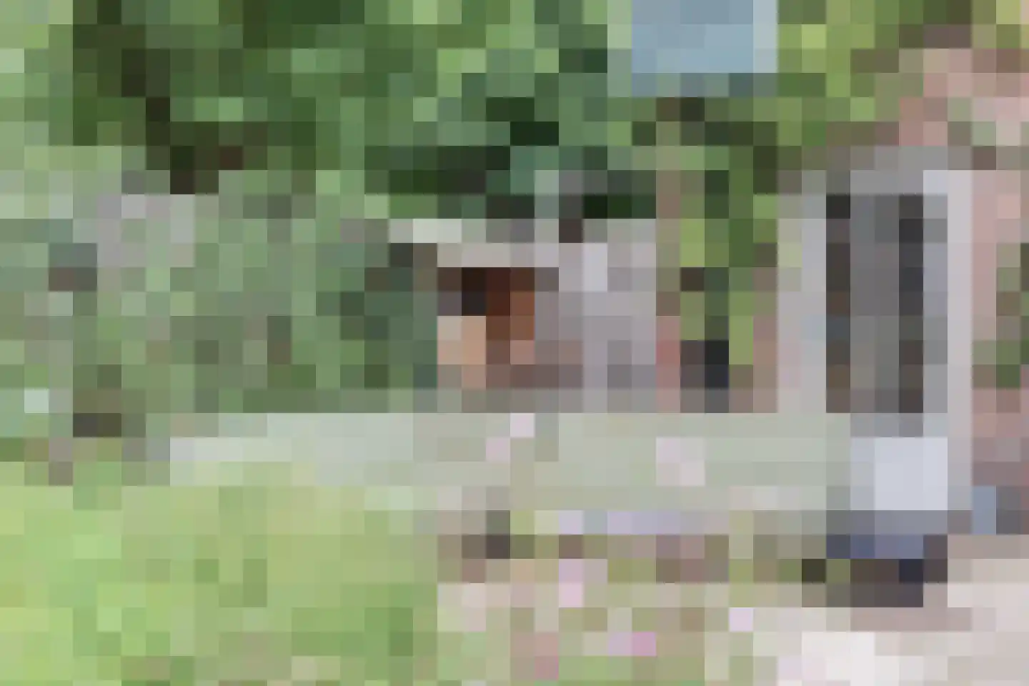 Spinel 15 's-Gravenzande thumbnail 37