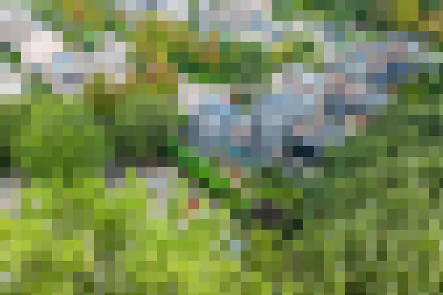 Spinel 15 's-Gravenzande thumbnail 43