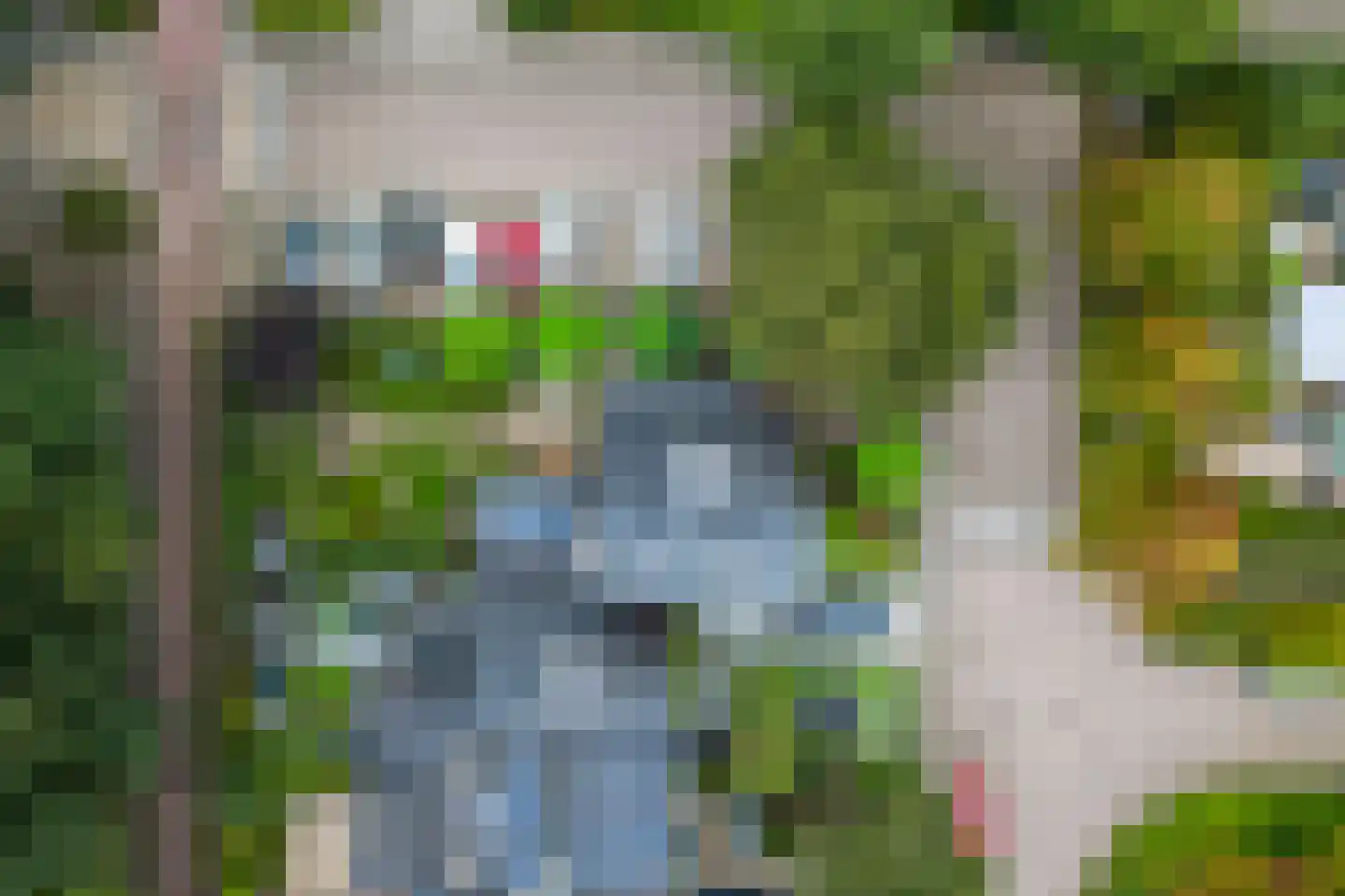 Spinel 15 's-Gravenzande thumbnail 44