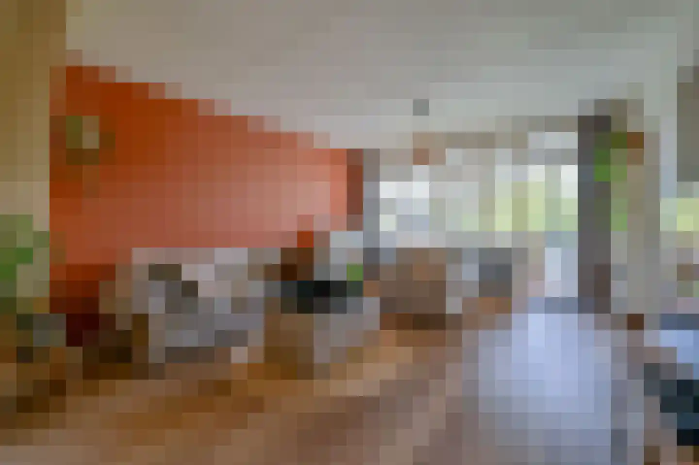 Spinel 16 Mijdrecht thumbnail 4