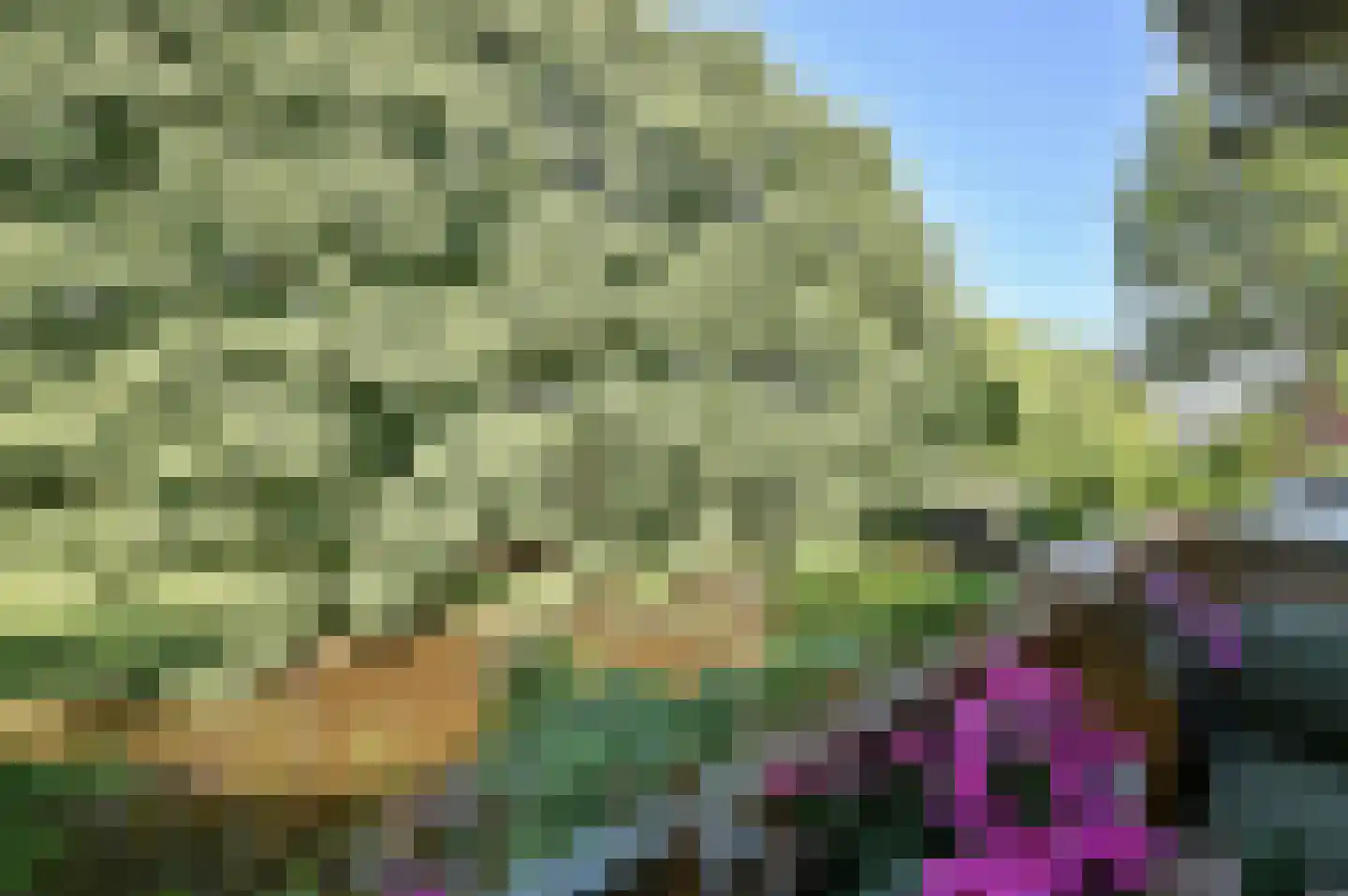Spinel 19 Mijdrecht thumbnail 12