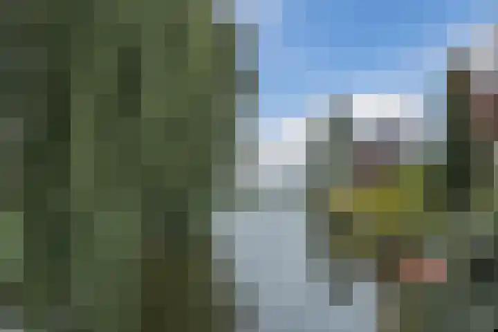Spinel 27 Mijdrecht thumbnail 42