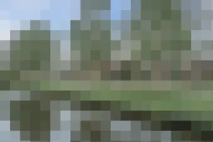 Spinel 27 Mijdrecht thumbnail 48