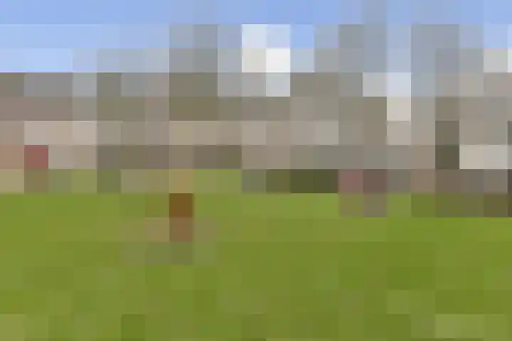 Spinel 63 Berkel en Rodenrijs thumbnail 30