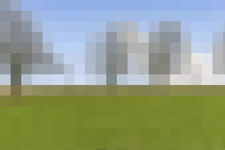 Spinel 63 Berkel en Rodenrijs thumbnail 7
