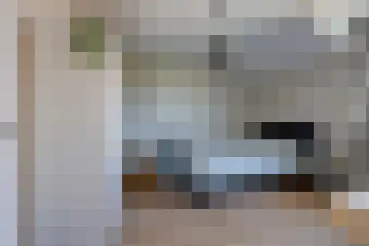 Spinellihof 16 Goes thumbnail 17