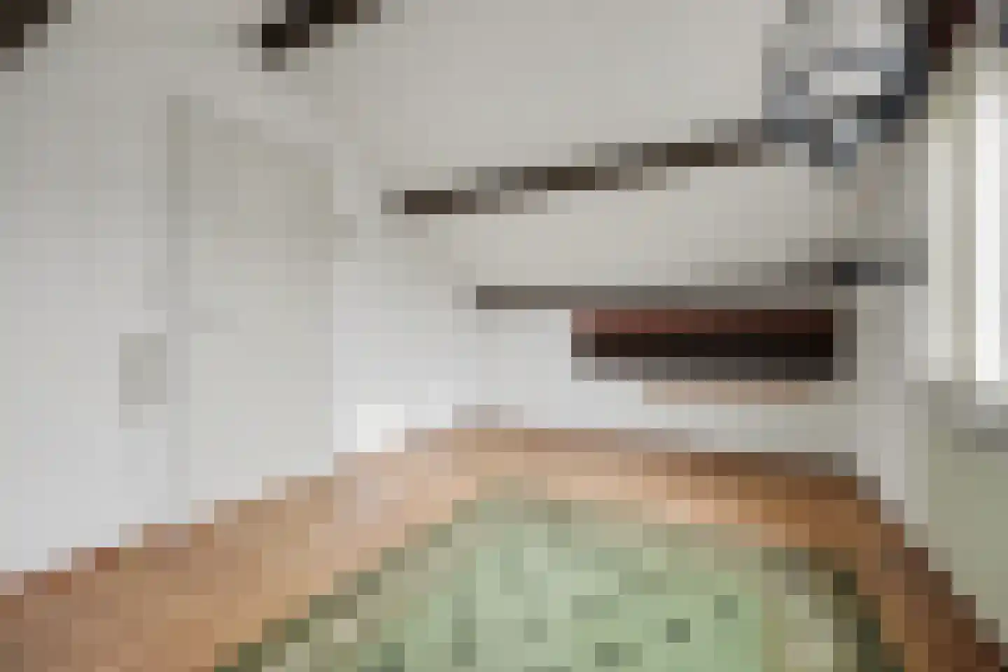 Spinellihof 50 Goes thumbnail 25