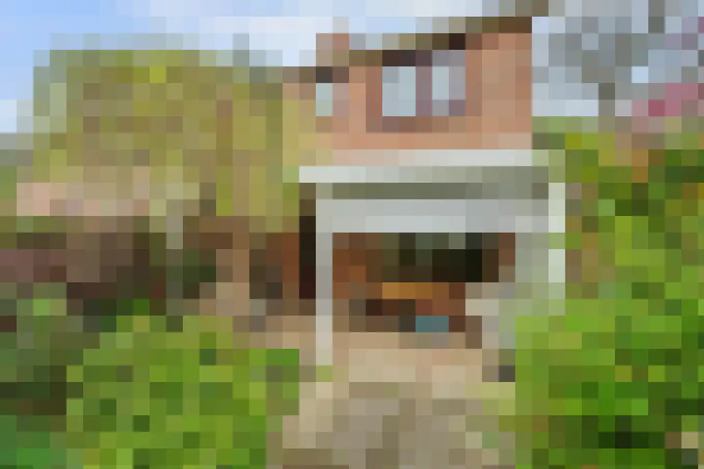 Spinellihof 50 Goes thumbnail 27