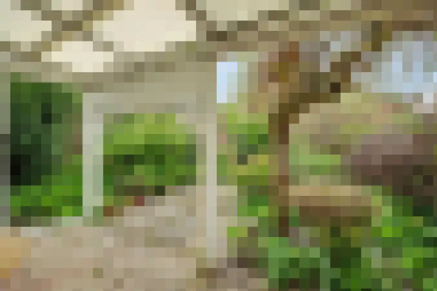 Spinellihof 50 Goes thumbnail 29