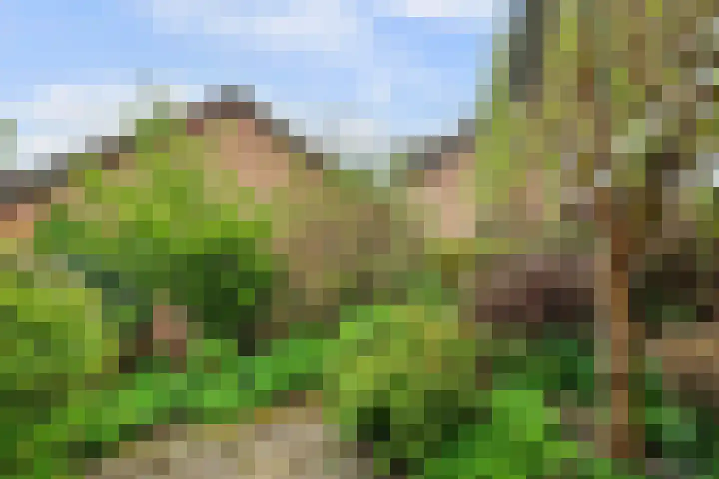 Spinellihof 50 Goes thumbnail 30
