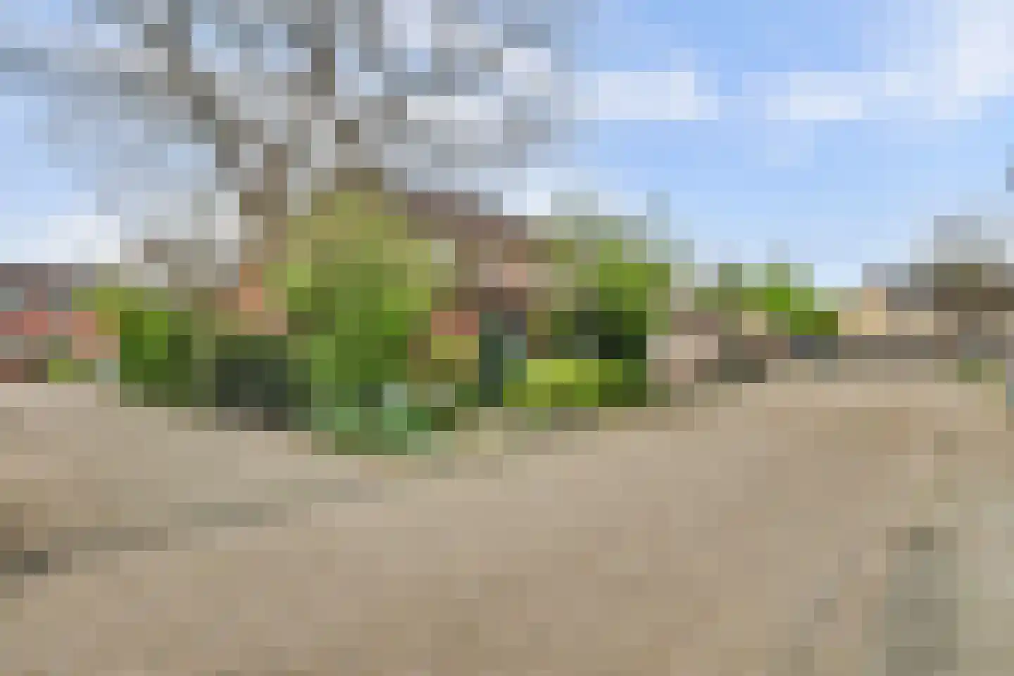 Spinellihof 50 Goes thumbnail 31