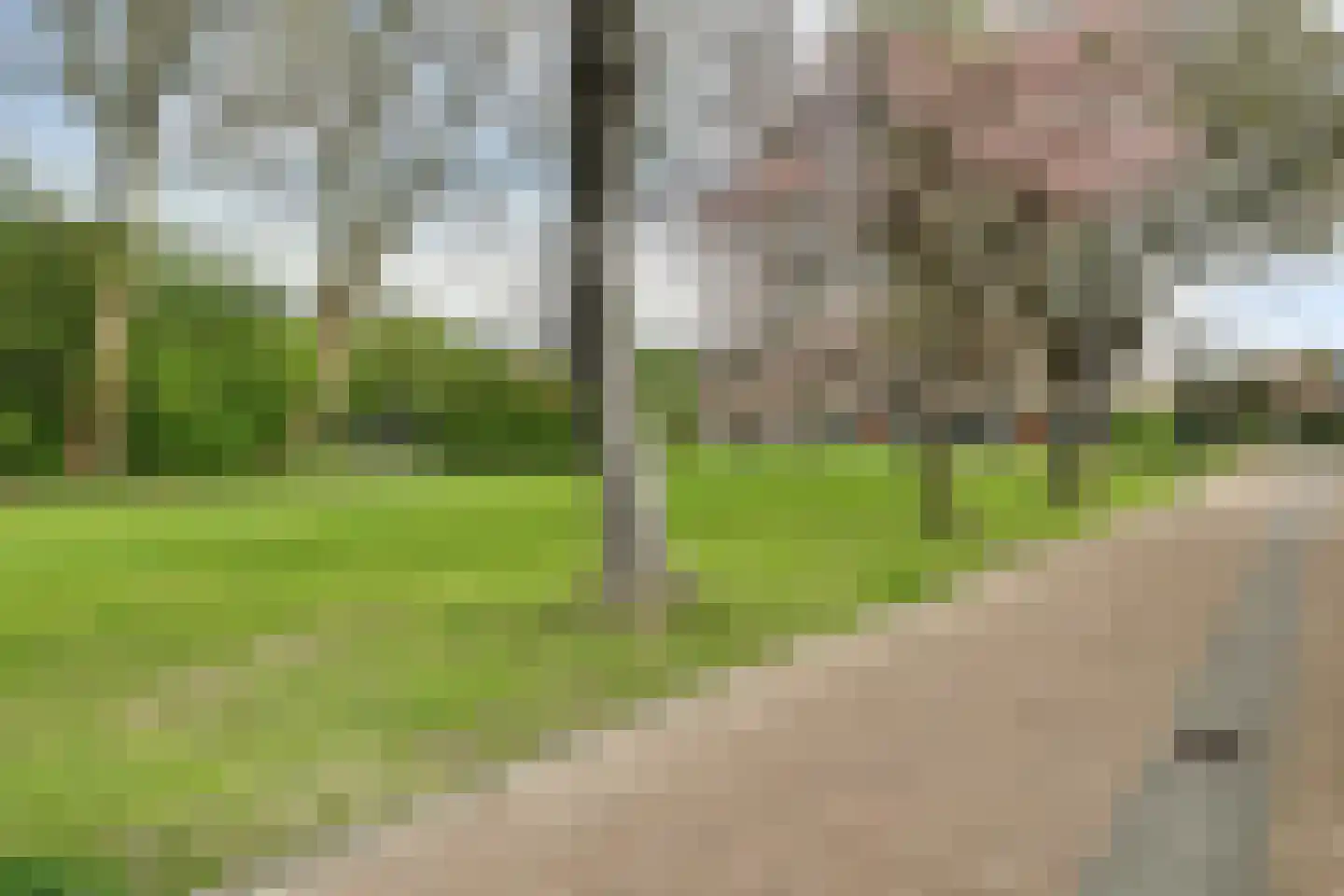 Spinellihof 50 Goes thumbnail 33