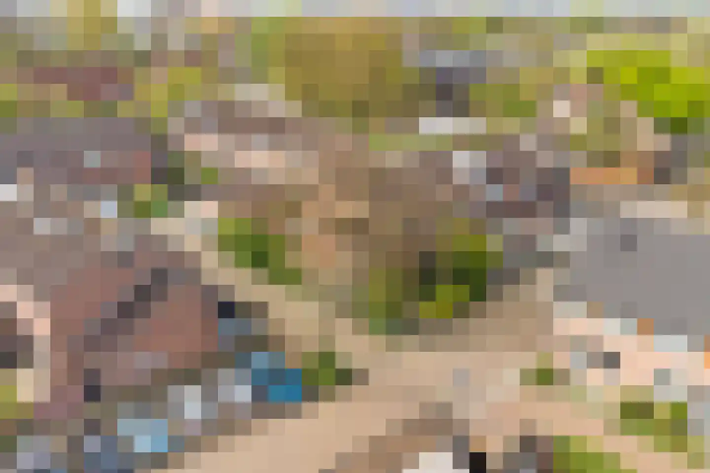 Spinellihof 50 Goes thumbnail 39
