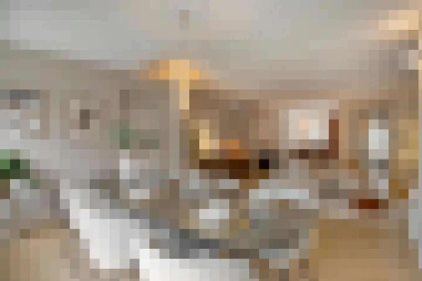 Spinellistraat 10 Zevenaar thumbnail 24