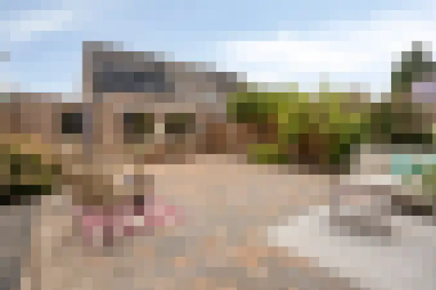 Spinellistraat 10 Zevenaar thumbnail 4