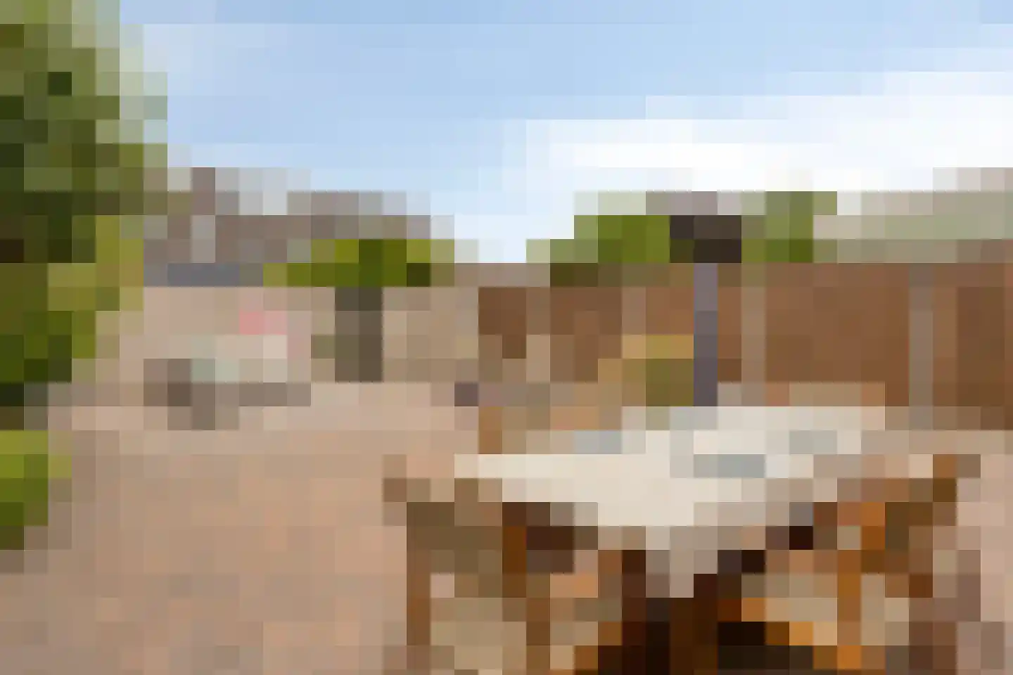 Spinellistraat 10 Zevenaar thumbnail 45