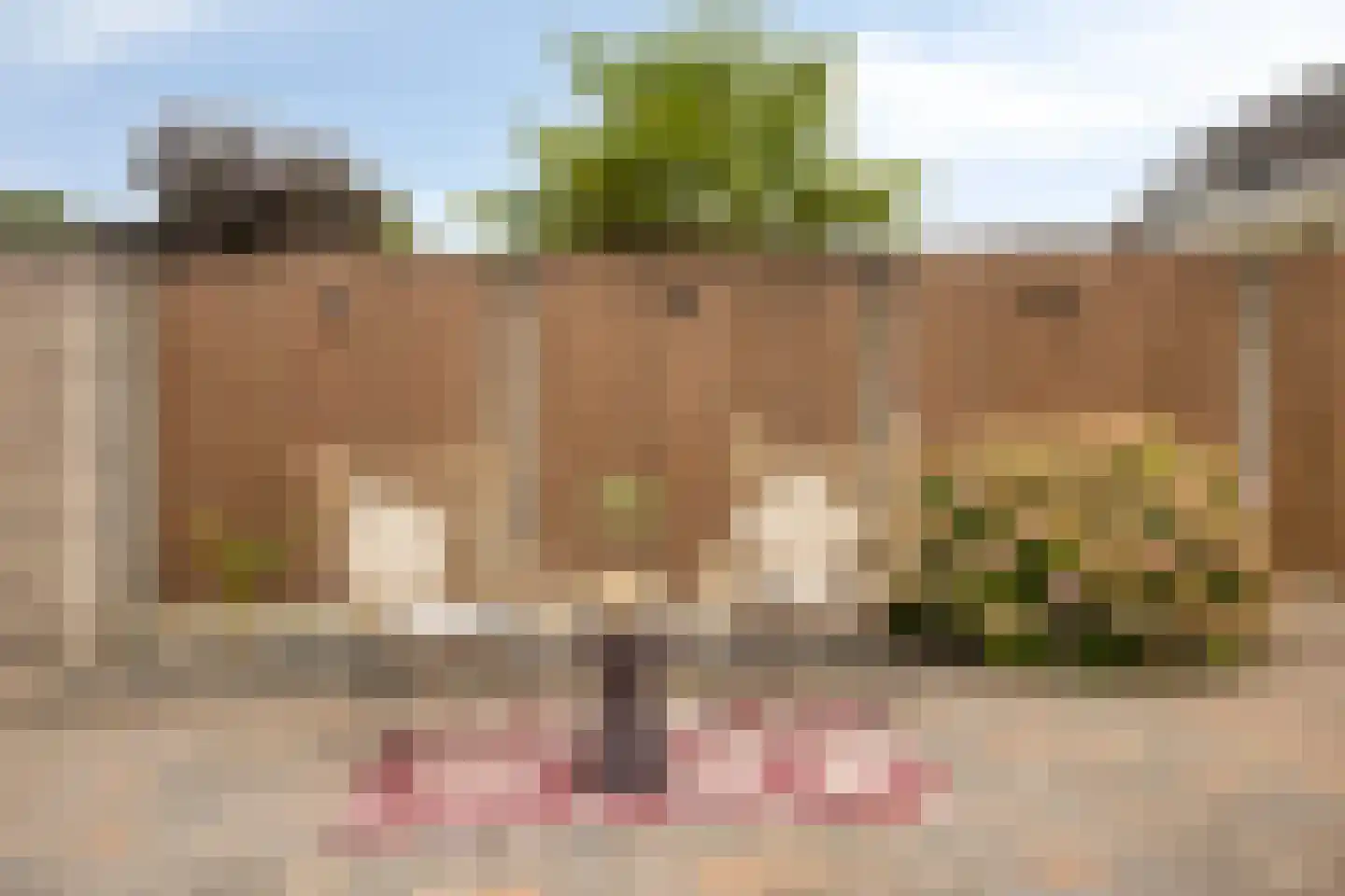 Spinellistraat 10 Zevenaar thumbnail 46
