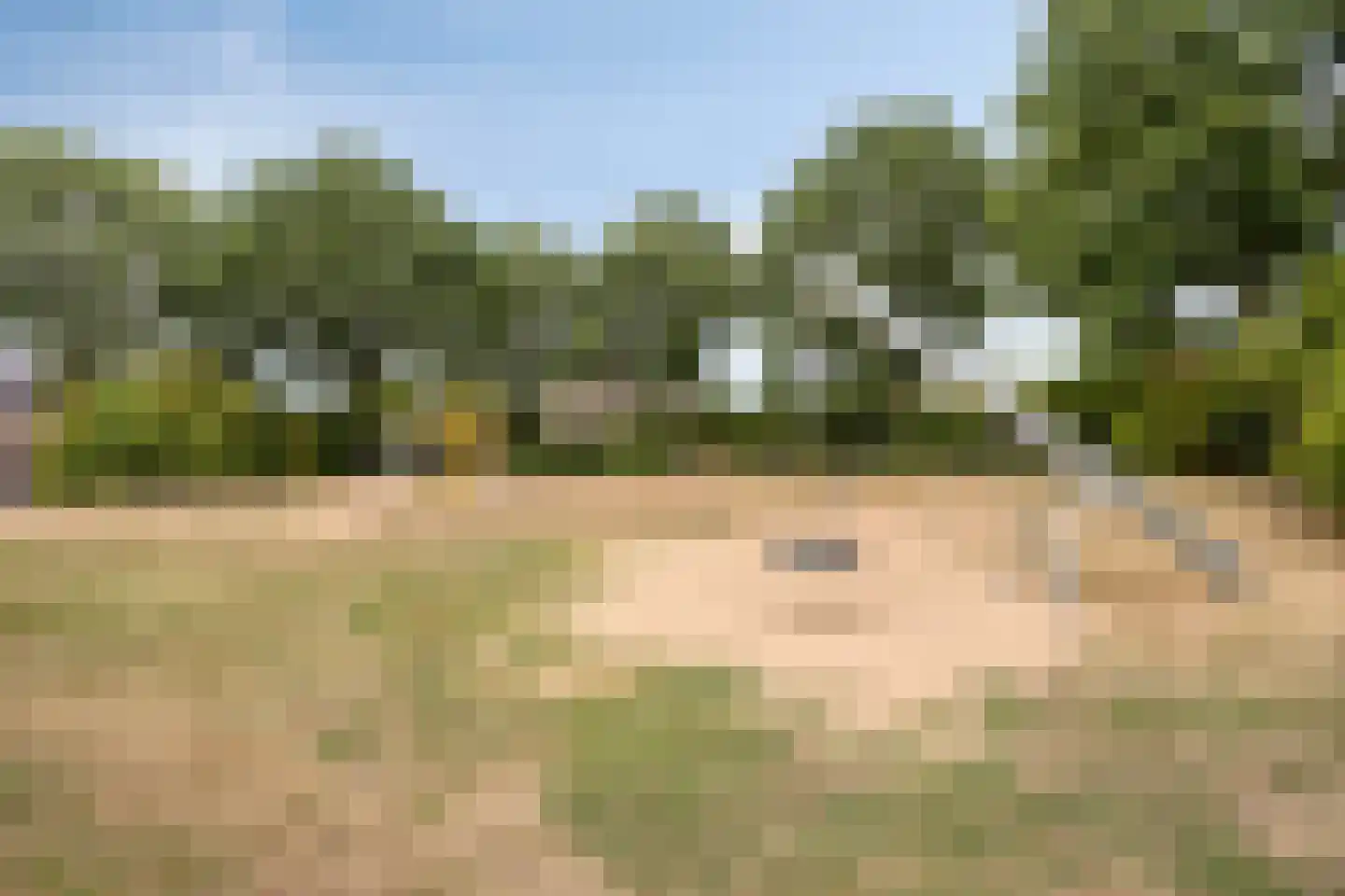 Spinellistraat 10 Zevenaar thumbnail 47