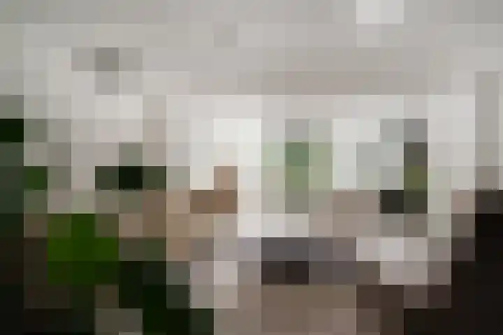 Spinellistraat 31 Zevenaar thumbnail 19