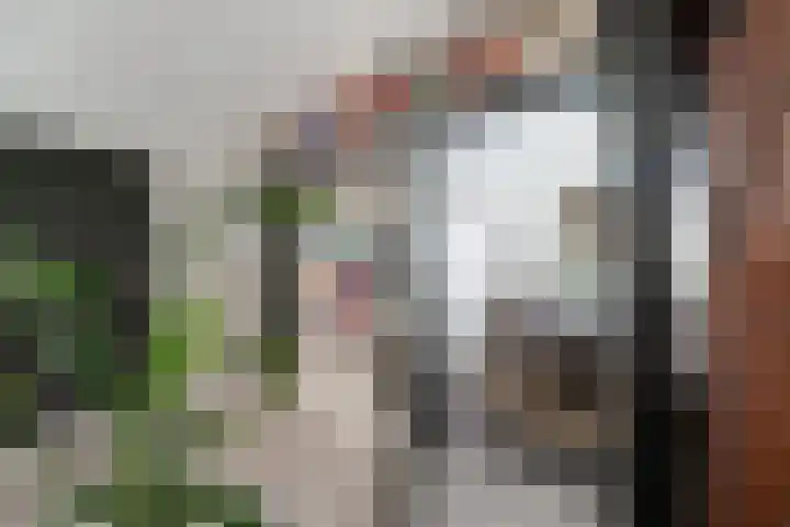 Spinellistraat 31 Zevenaar thumbnail 20