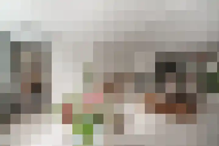 Spinellistraat 31 Zevenaar thumbnail 21