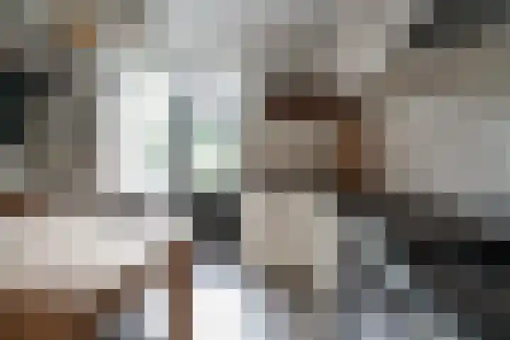 Spinellistraat 31 Zevenaar thumbnail 28