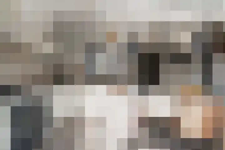 Spinellistraat 31 Zevenaar thumbnail 31