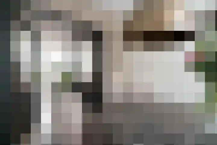Spinellistraat 31 Zevenaar thumbnail 38