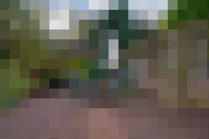 Spinellistraat 31 Zevenaar thumbnail 39