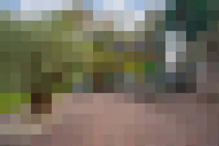 Spinellistraat 31 Zevenaar thumbnail 45