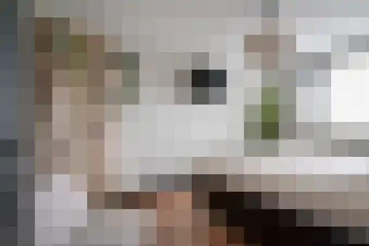 Spinellistraat 31 Zevenaar thumbnail 50