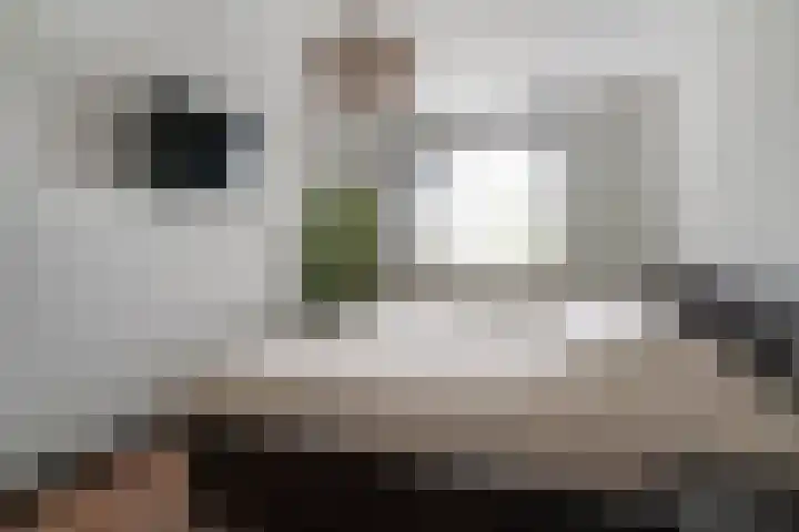 Spinellistraat 31 Zevenaar thumbnail 51