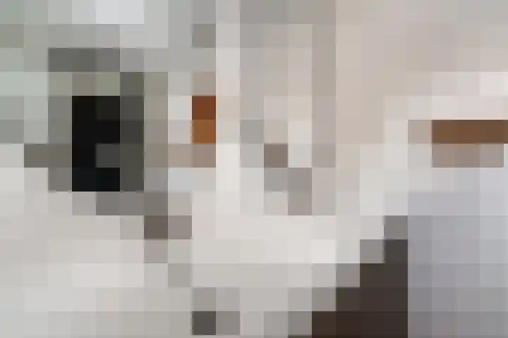 Spinellistraat 31 Zevenaar thumbnail 59