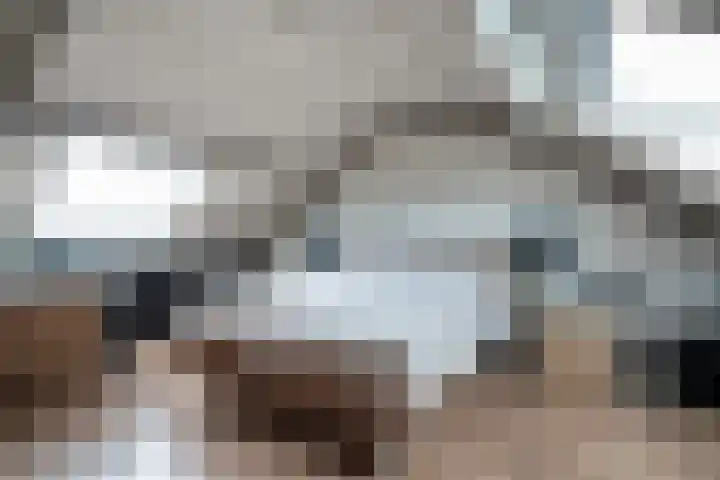 Spinellistraat 31 Zevenaar thumbnail 60