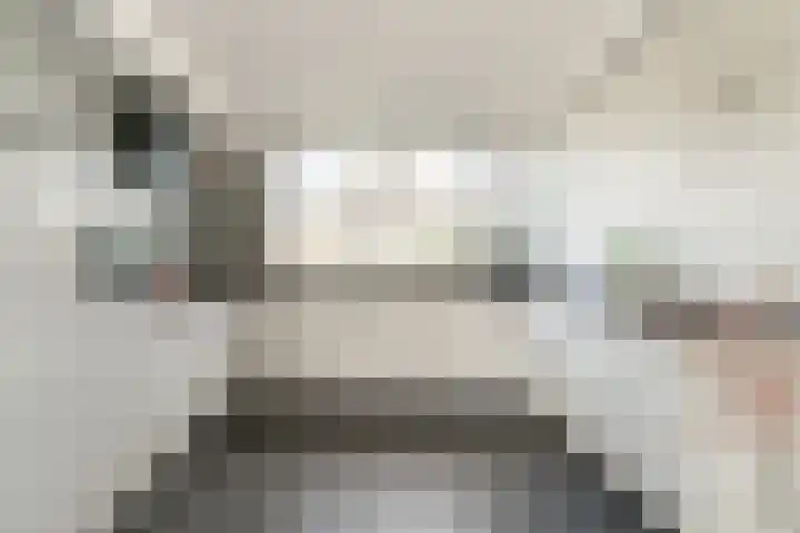 Spinet 28 Zevenaar thumbnail 21