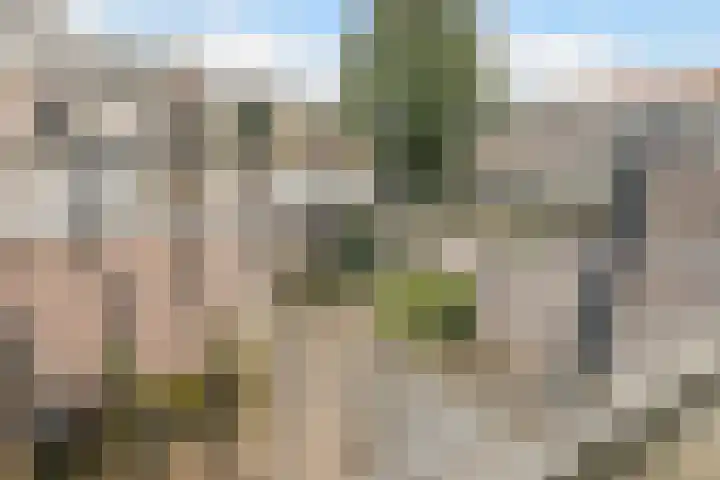 Spinet 28 Zevenaar thumbnail 29