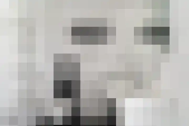 Spinet 28 Zevenaar thumbnail 33
